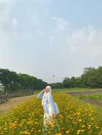สวนรถไฟ เดินรับลม ใจกลางเมือง แค่นี้ก็ฟินล่ะ