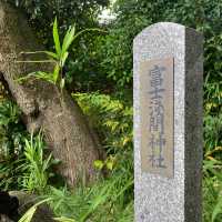 護国寺にある浅間神社の音羽富士