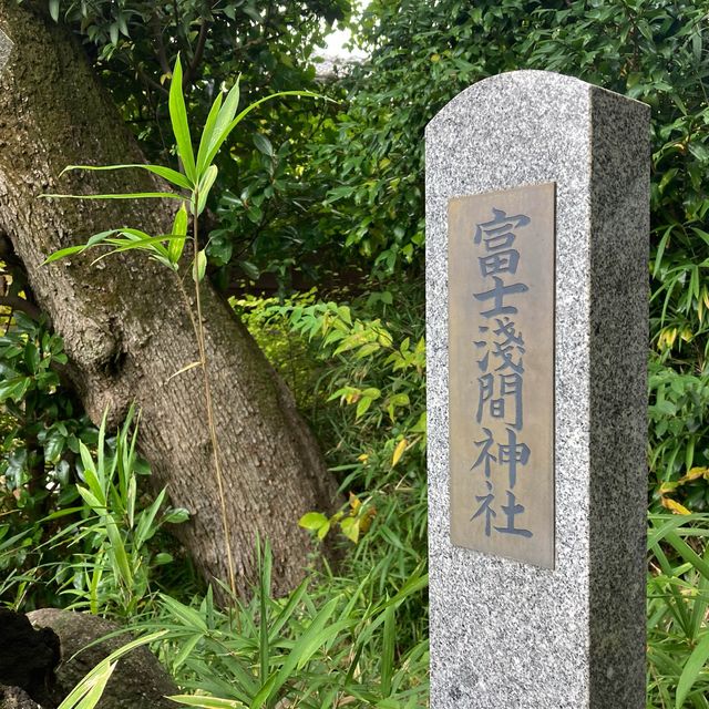 護国寺にある浅間神社の音羽富士