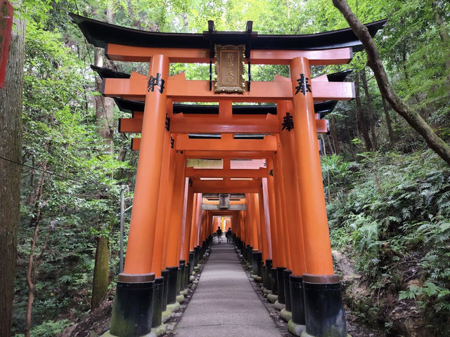 ขอพรเทพจิ้งจอก ที่ศาลเจ้าฟูชิมิอินาริ ⛩️