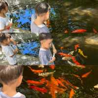 台灣夏威夷，墾丁悠活度假村吃喝玩樂