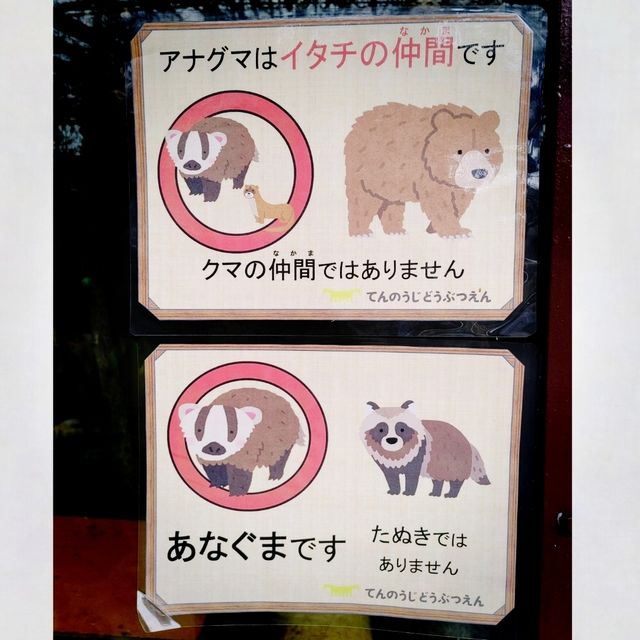自動販売機にゾウの銅像！岩場にお正月飾り！