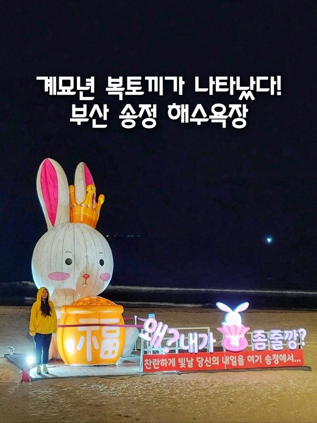 부산 송정해수욕장엔 복토끼가 있어요🐰