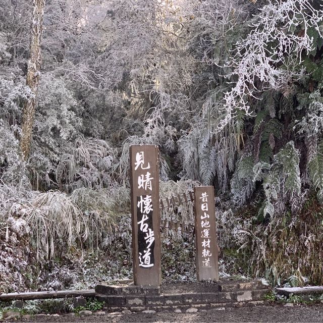 太平山，見晴懷古步道