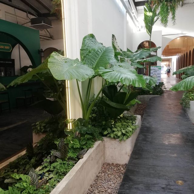 The Oasis Thalang 