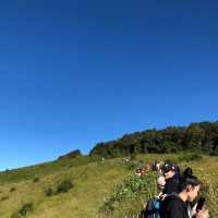 กิ่วเเม่ปาน อินทนนท์⛰️🍃