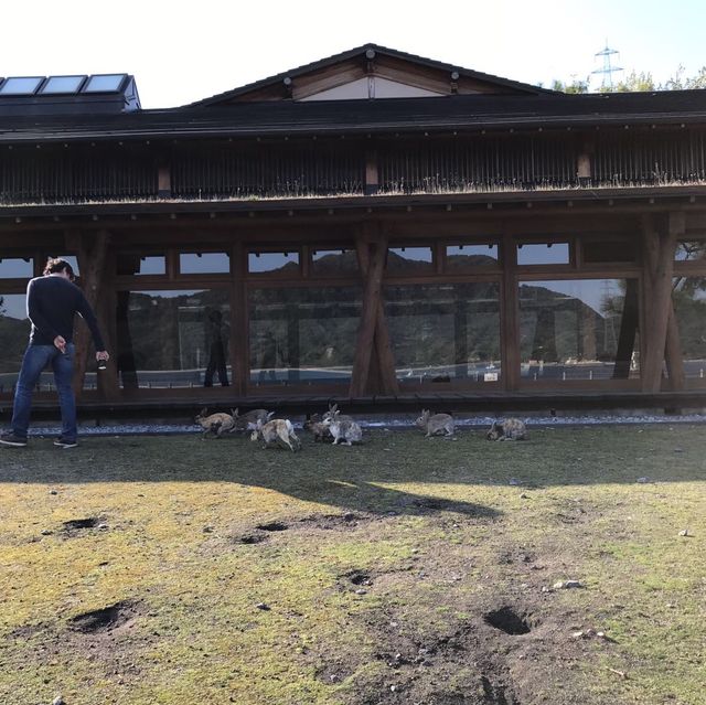 幸運的一天🐰大久野島