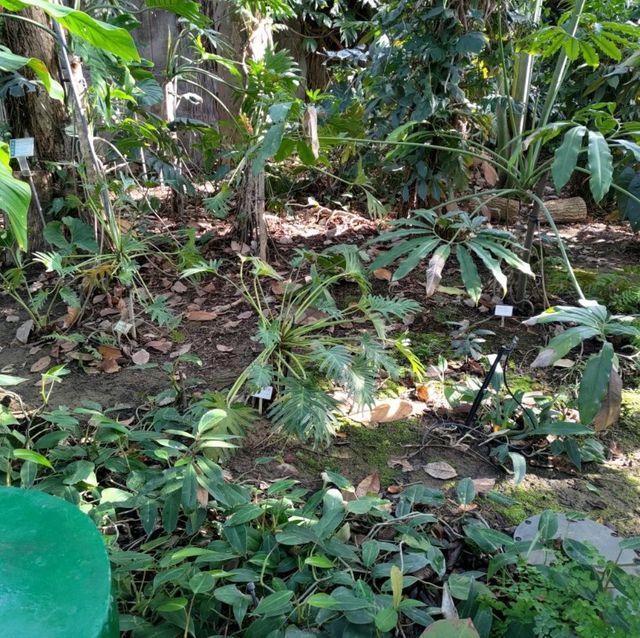 台中 國立自然科學博物館植物園


