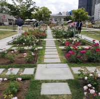 Nakanoshima Rose Garden