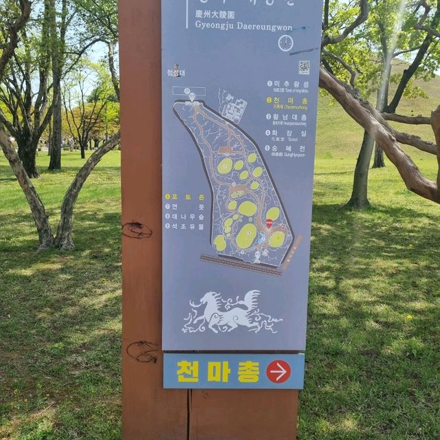 포토존이 예쁜  경주 대릉원