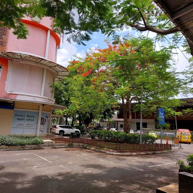 ยูดี ทาวน์ แลนด์มาร์กใจกลางเมืองอุดรธานี