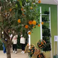特別到海港城，欣賞三個特別展覽 ！