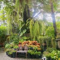 จิบกาแฟในสวนป่ากลางเมืองทองธานี