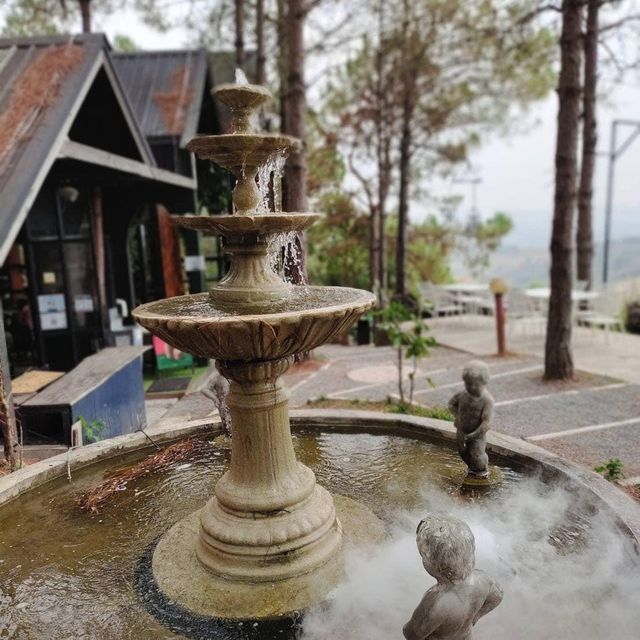 • วิลล่าป่าสน เขาค้อ🗺️✨