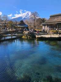 忍野八海🏔看到富士山之世外桃園