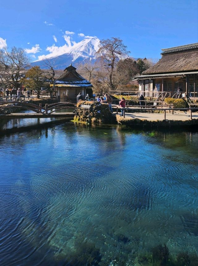 忍野八海🏔看到富士山之世外桃園