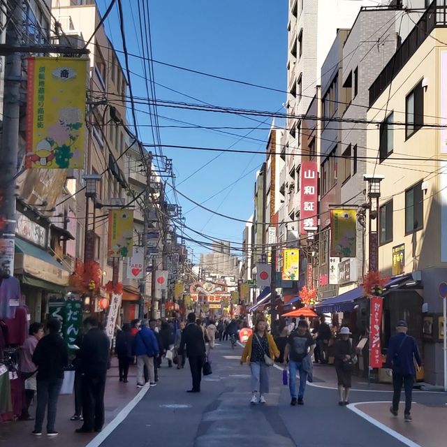 日本媽媽婆婆們的原宿 -  巢鴨地藏通商店街