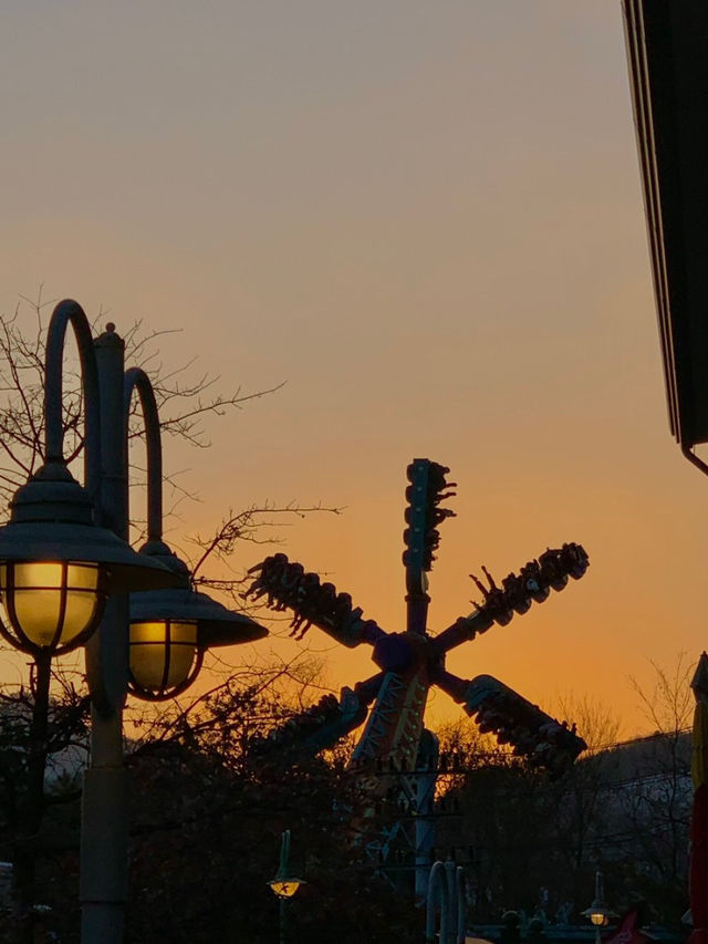 크리스마스에 뭐할지 고민한다면 에버랜드로 !! 🎡
