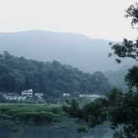 探秘香港"綠野仙蹤〞谷埔/鹿頸