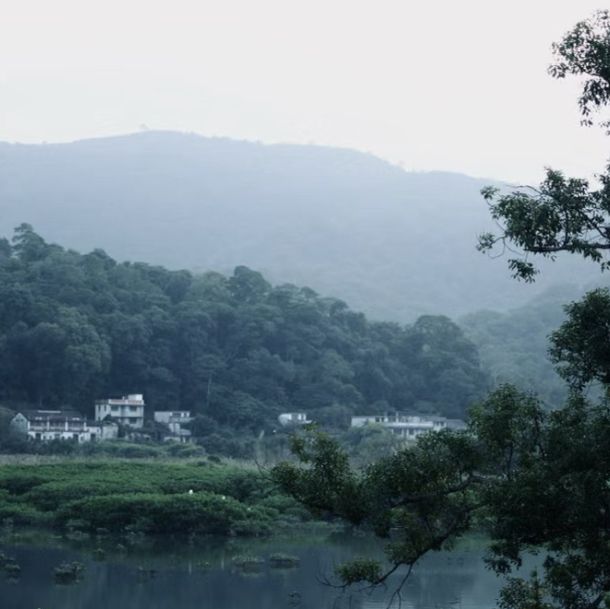 探秘香港"綠野仙蹤〞谷埔/鹿頸