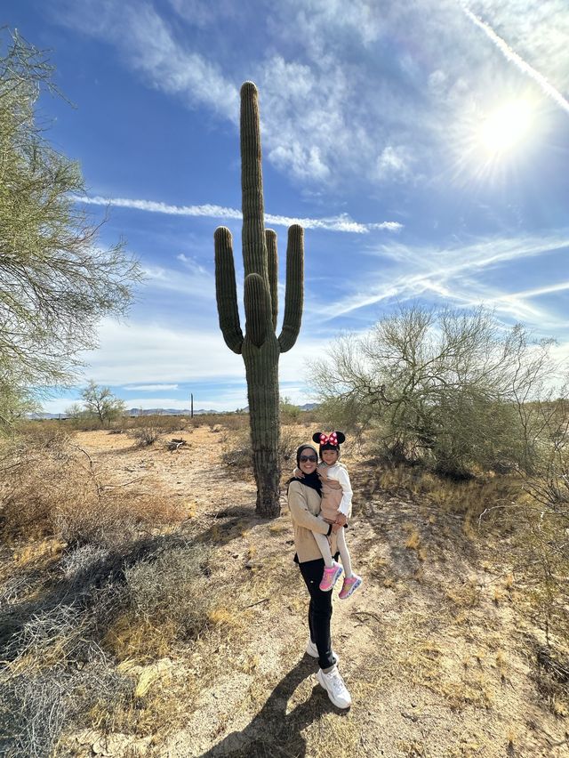 Iconic Cactus in Arizona 🌵 