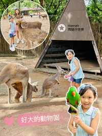 深圳動物園攻略