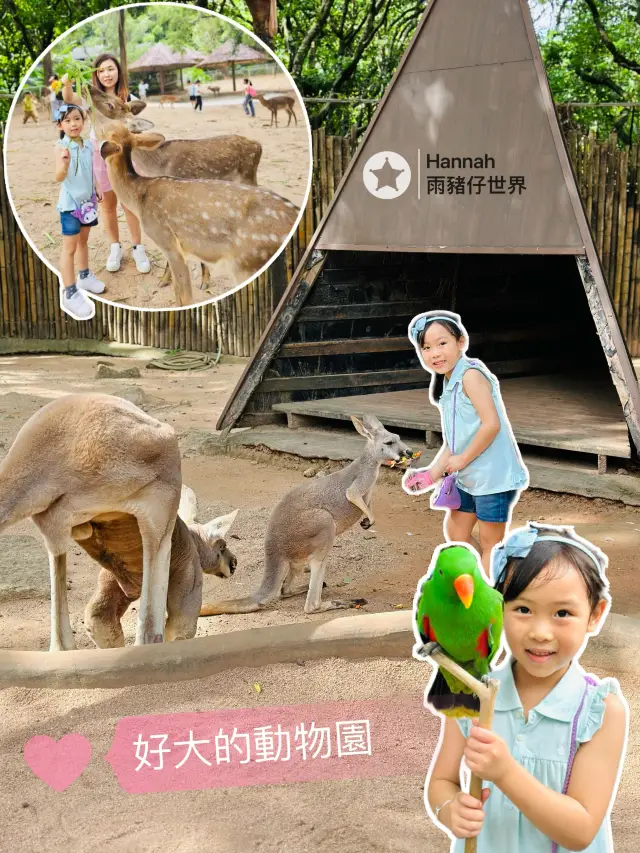 深圳動物園攻略