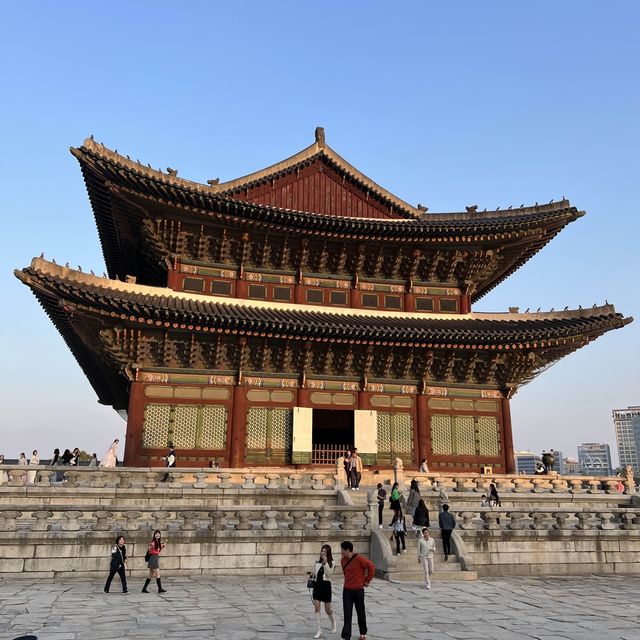 고즈넉한 경복궁.. 가을에 더 예쁜거 아셨나요?🤎🍁