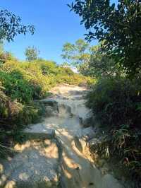 [台北] 市區低難度的登山步道 超美沉積岩打卡景點-軍艦岩登山步道