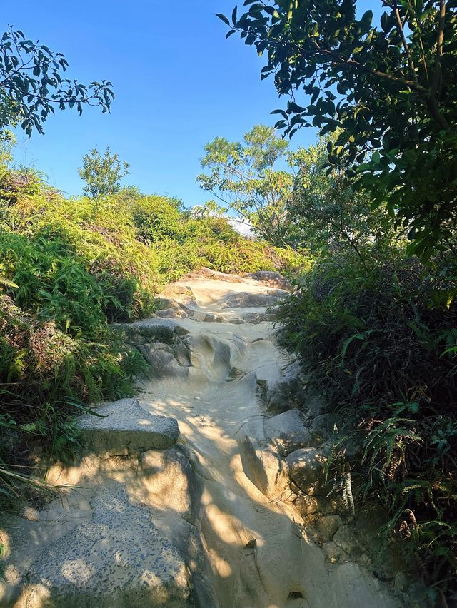 [台北] 市區低難度的登山步道 超美沉積岩打卡景點-軍艦岩登山步道