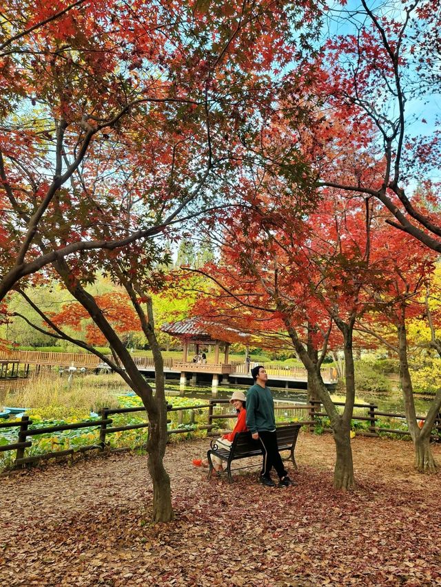 아직은 보내기 싫은 늦가을 즐기기🍁