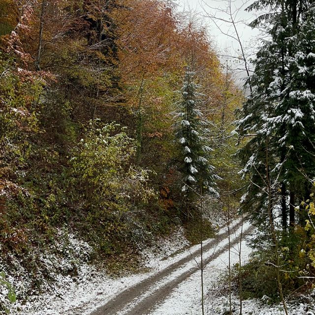 Autumn in Switzerland 