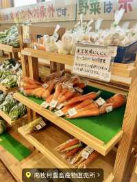 【信州みなみまきむら】美味しい高原野菜が買える南牧村農畜産物直売所