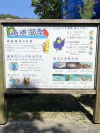 2023年いちばん感動した絶景ビーチ奄美大島の崎原海岸