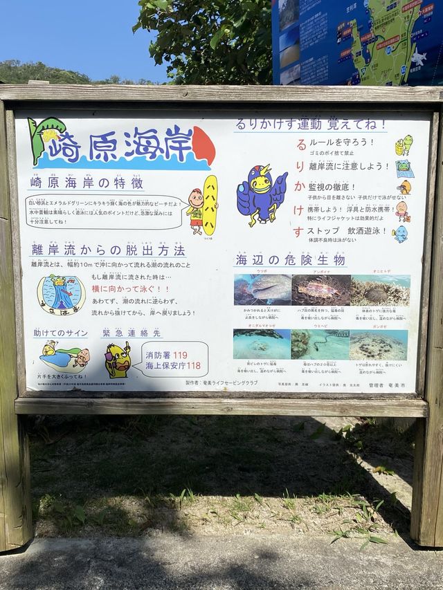 2023年いちばん感動した絶景ビーチ奄美大島の崎原海岸