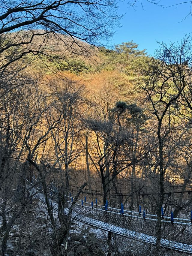 국내여행 추천지! 양평 “용문사”, “두물머리”