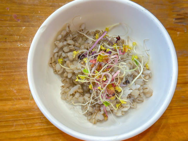 대부도 애견동반식당 칼국수 맛집 자가제면 이런칼국수를 봤나 
