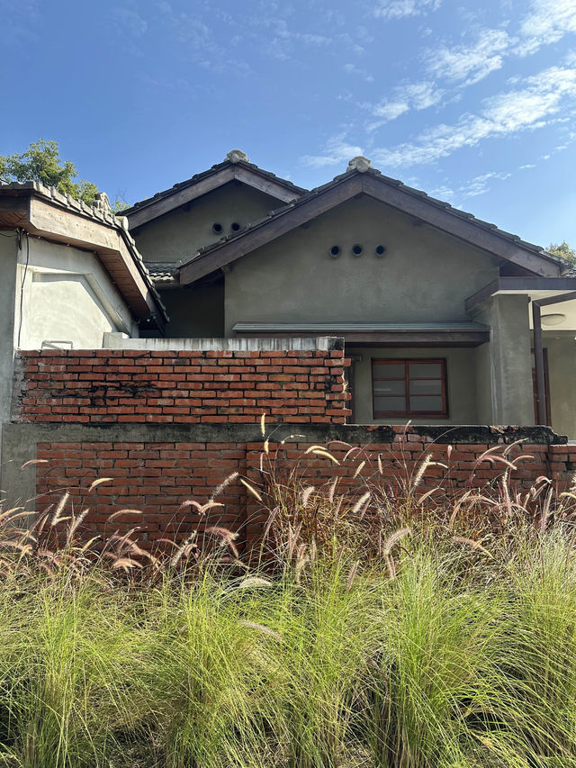 [台南] 台南熱門的親子打卡景點 由眷村改建的超美園區-水交社文化園區