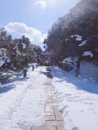 🇯🇵日本鳥取白兔神社🐰👣來到鳥取必去的可愛神社⛩️