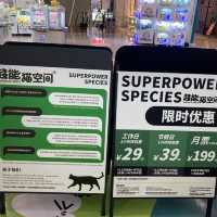 YouTuber 經典深圳北上羅湖口岸省錢食買玩體驗一天遊
