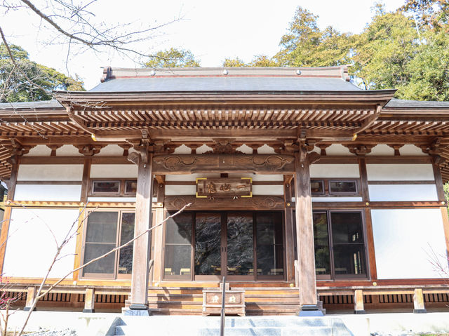 【神奈川県】 弘法大師・空海が開山した鎌倉の秘境寺「今泉不動尊」 【神奈川県】 弘法大師・空海が開山した鎌倉の秘境寺「今泉不動尊」