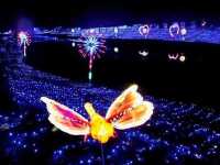 Starry Lighting Park