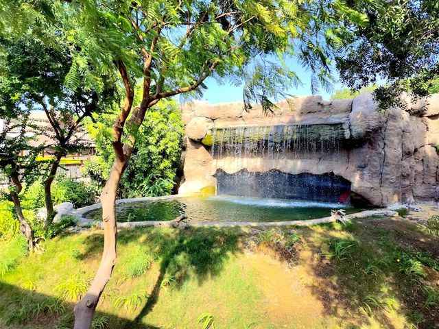 Dubai Safari Park