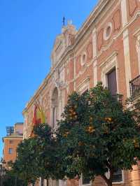 🇪🇸Beautiful Valencian Passage🇪🇸