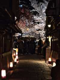 【京都×桜】京都市内無料で満喫No.1ライトアップスポット✨ ※撮影ポイントマップ付き