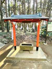 【鹿島神宮北の一之鳥居と戸隠神社/茨城県】神戸森に佇む朱塗りの鳥居