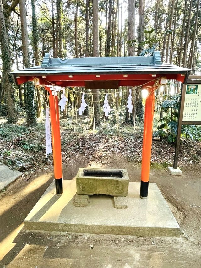 【鹿島神宮北の一之鳥居と戸隠神社/茨城県】神戸森に佇む朱塗りの鳥居