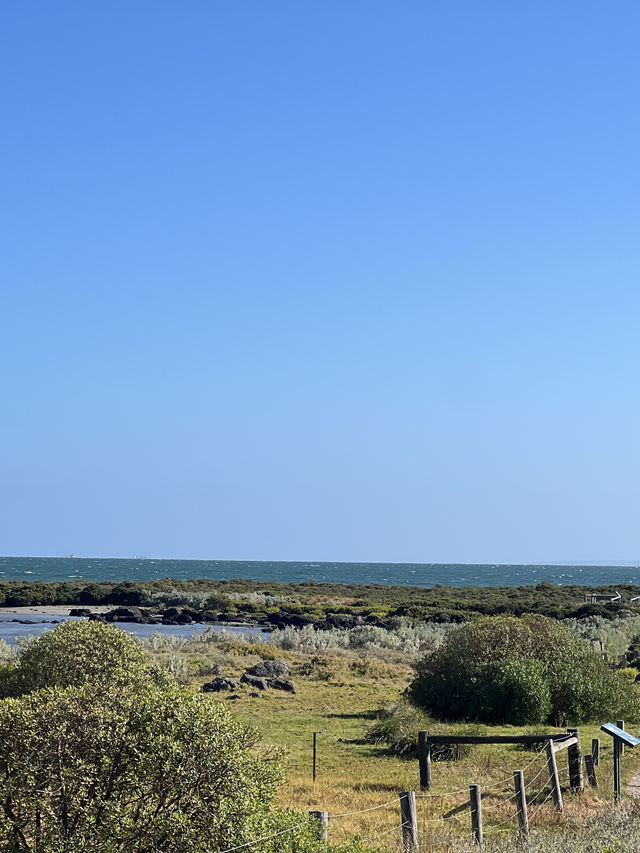 ทะเลลับๆใกล้เมลเบิร์น Williamstown beach