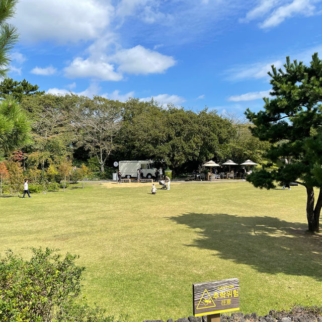 A Serene Retreat for Tea Enthusiasts