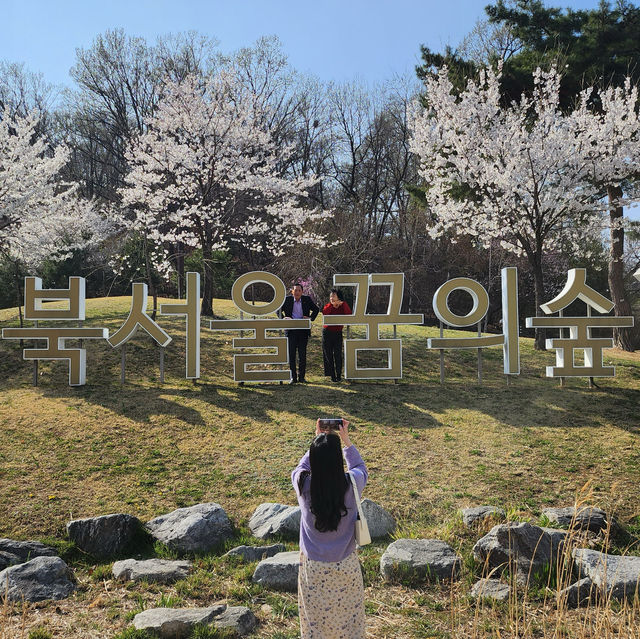 서울 벚꽃놀이는 북서울꿈의숲으로~🌸